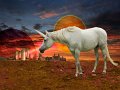 178 - unicorn world - CORNISH Tremaine A O - united kingdom